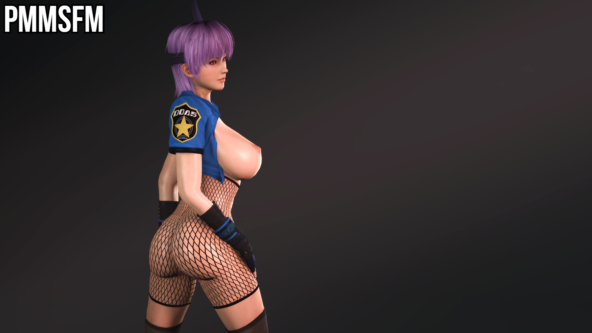Ayane (Doa) Rule 34 Image