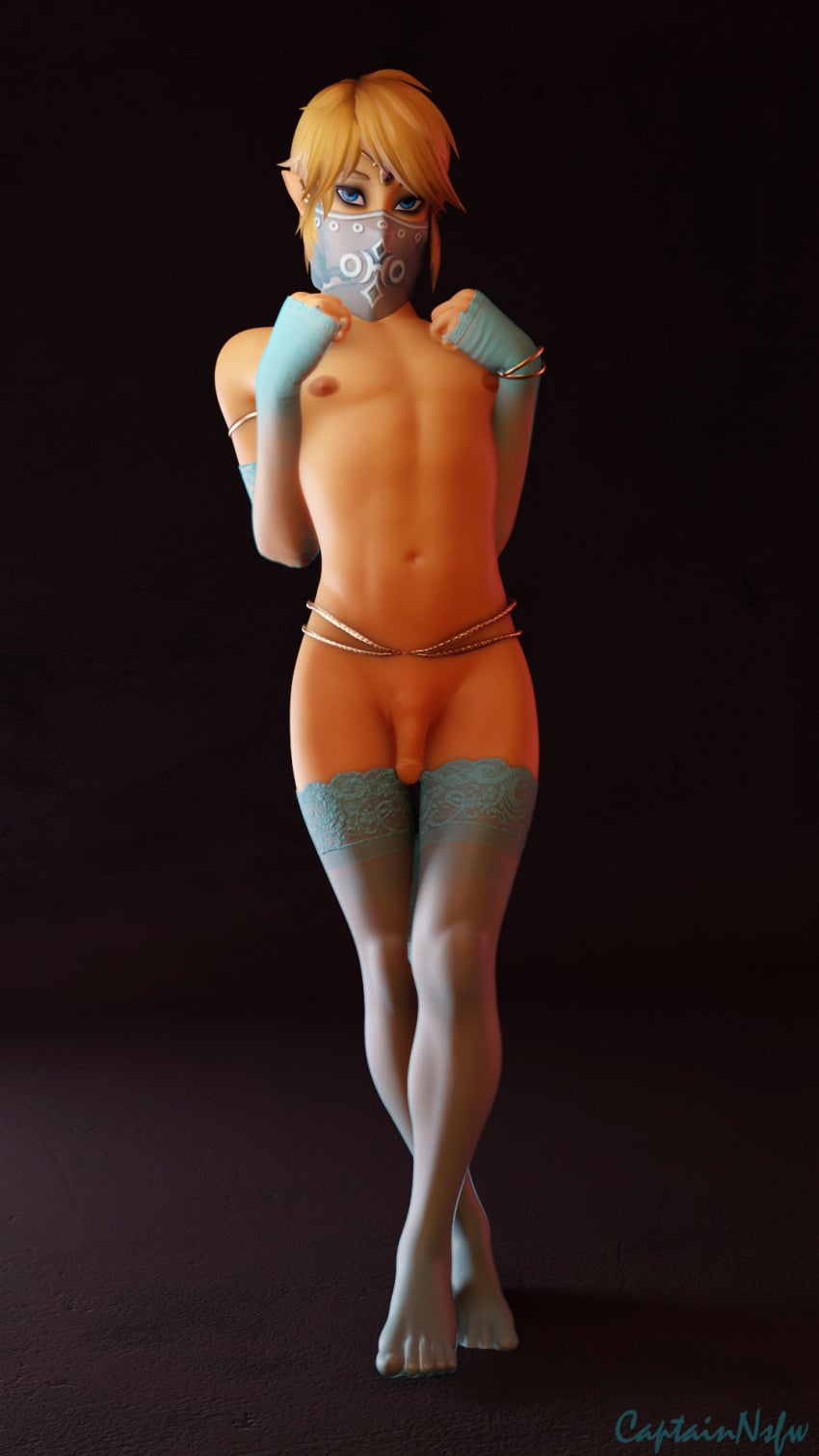 Gerudo Link (Hyrule Warriors) Rule 34 Image