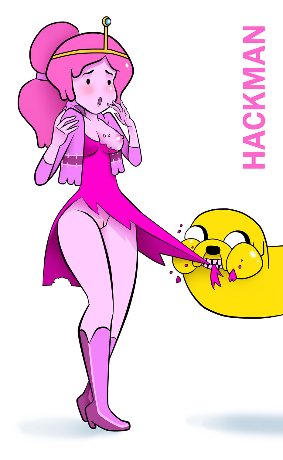 Jake The Dog (Adventure Time) Rule 34 Image