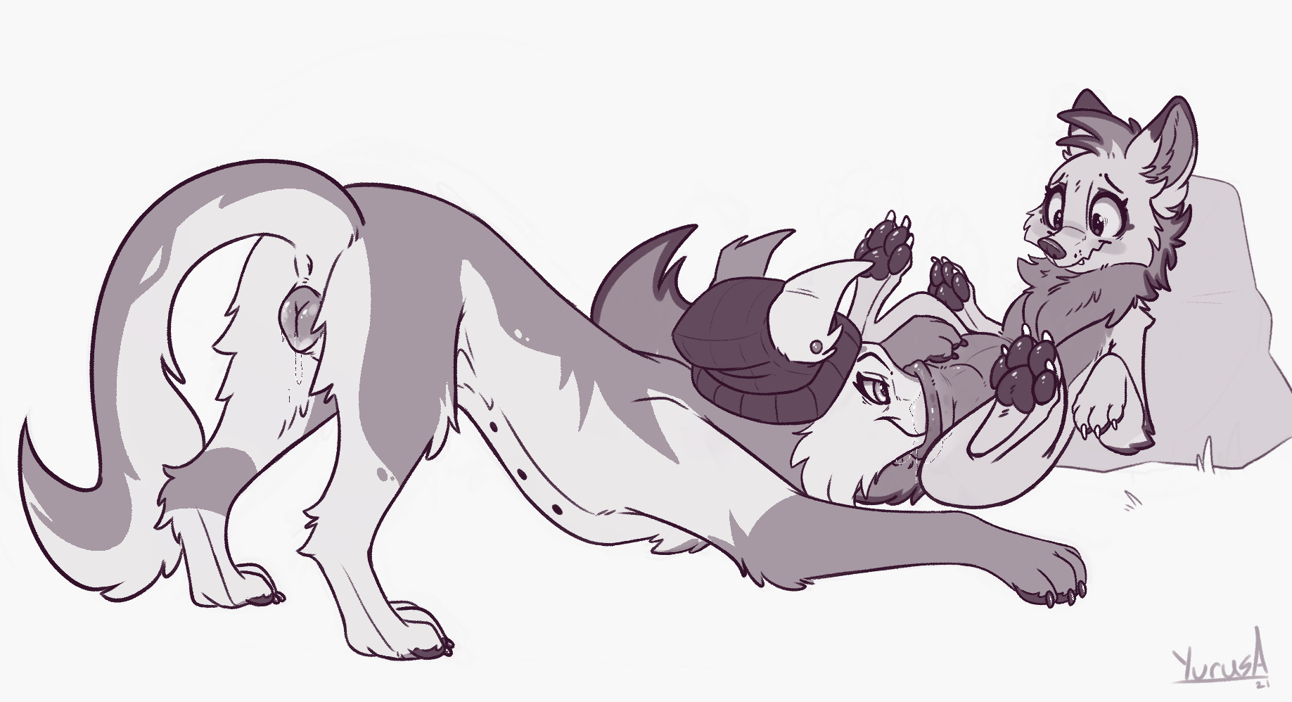 Animal Genitalia Rule 34 Image
