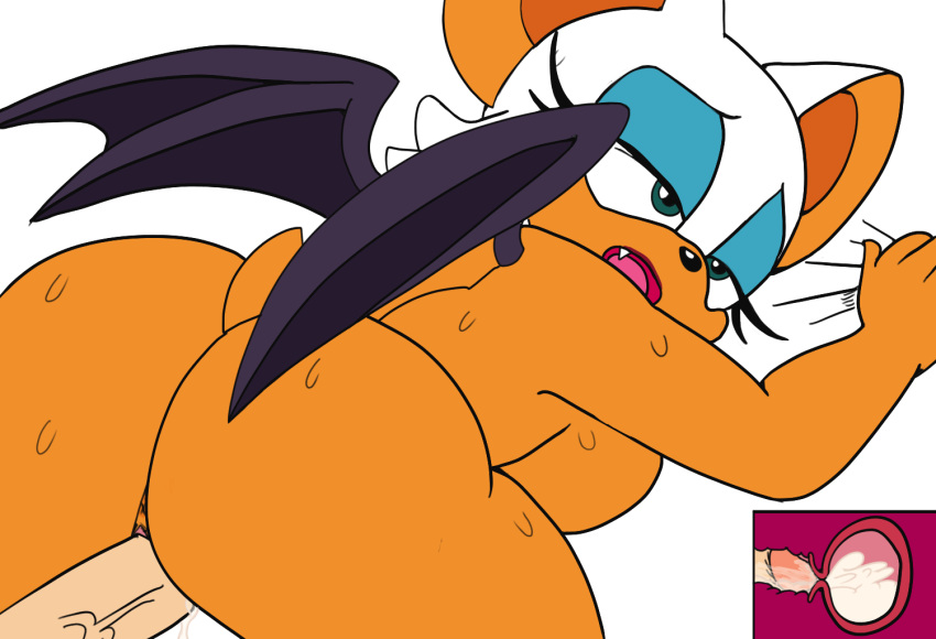 Rouge The Bat (Sega) Rule 34 Image