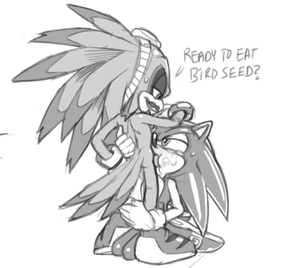 Jet The Hawk (Sega) Rule 34 Image