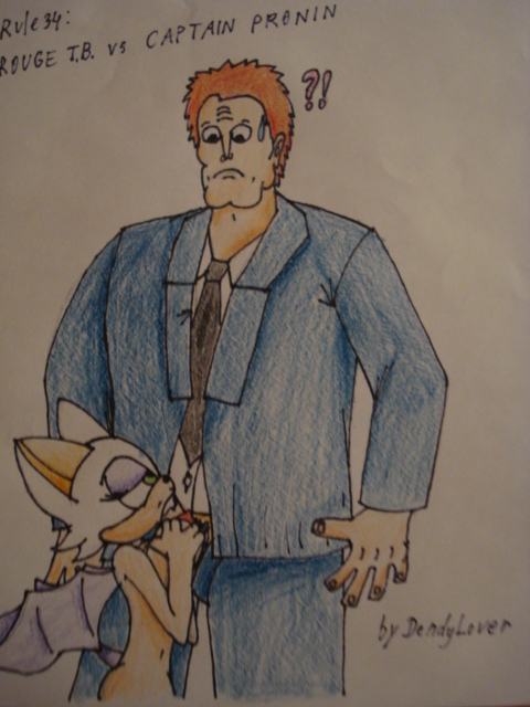 Rouge The Bat (Sonic (Series)) Rule 34 Image
