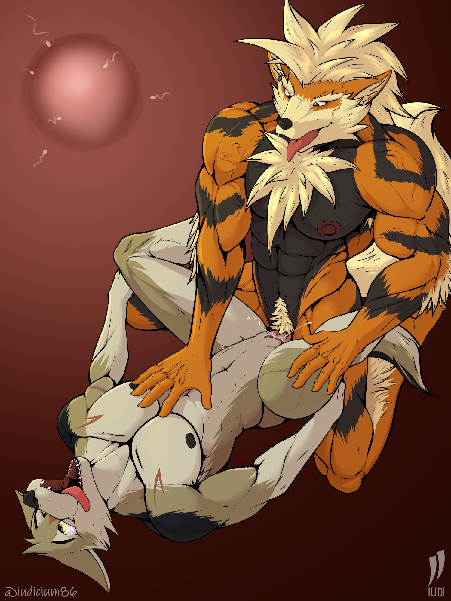 Arcanine (Nintendo) Rule 34 Image