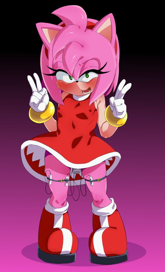 Amy Rose (Sonic (Series)) Rule 34 Image