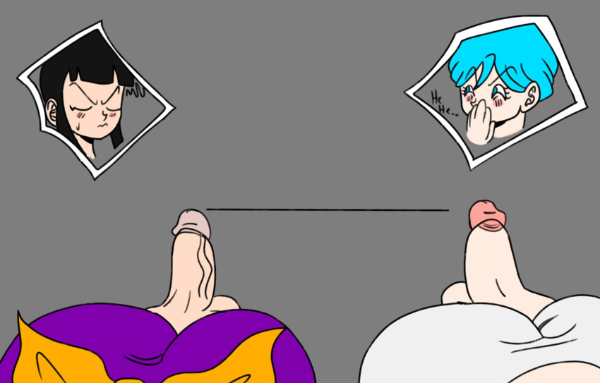 Bulma Briefs (Dragon Ball) Rule 34 Image