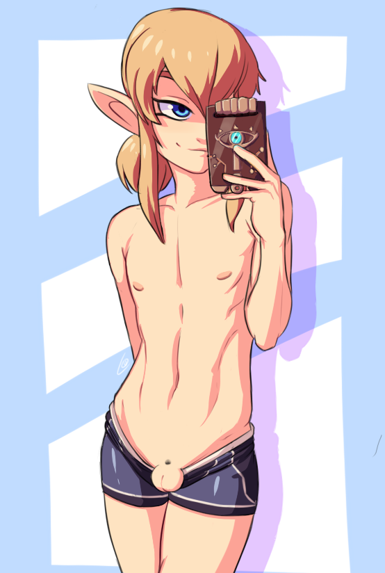 Link (Breath Of The Wild) Rule 34 Image