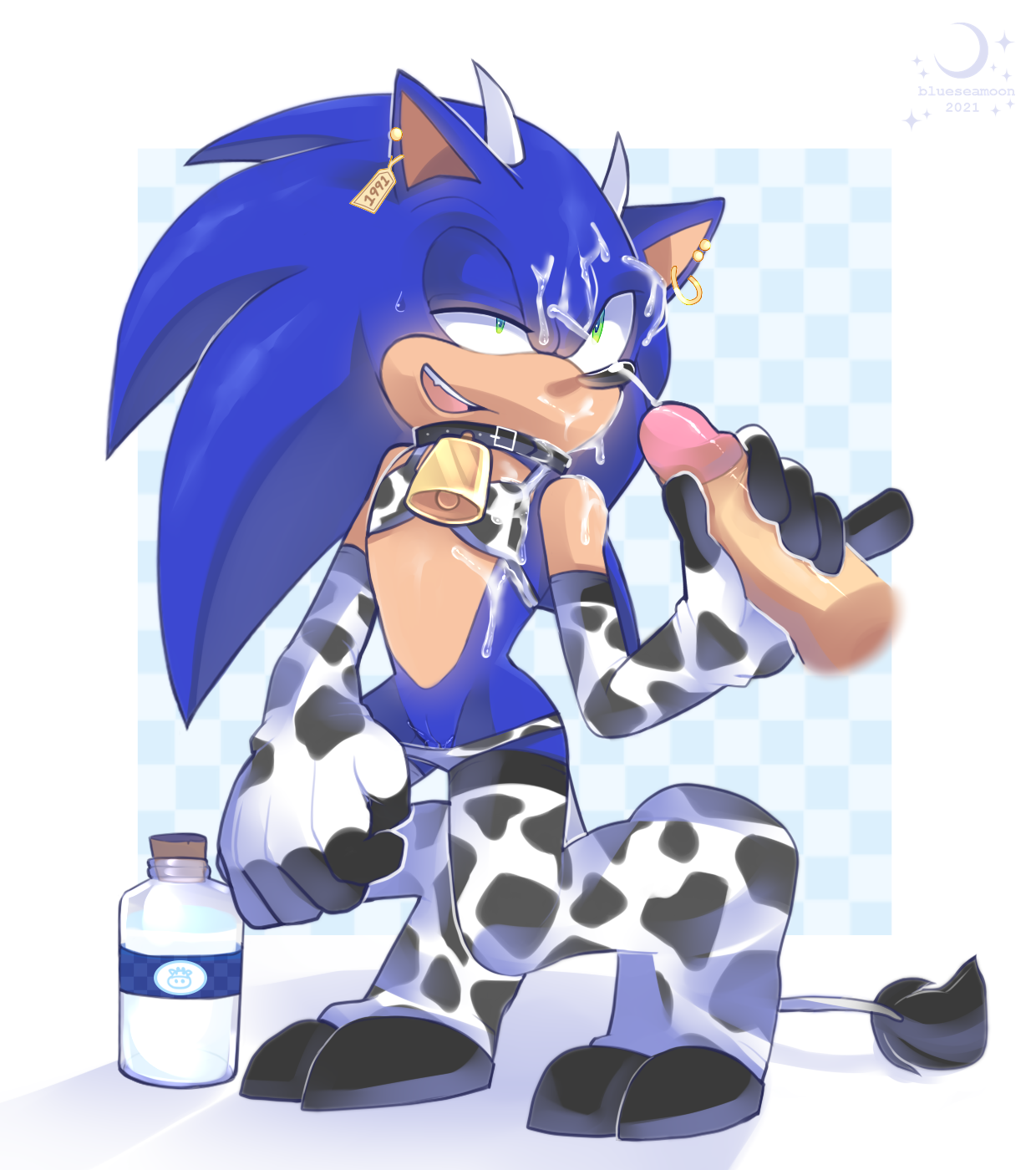Sonic The Hedgehog (Sega) Rule 34 Image