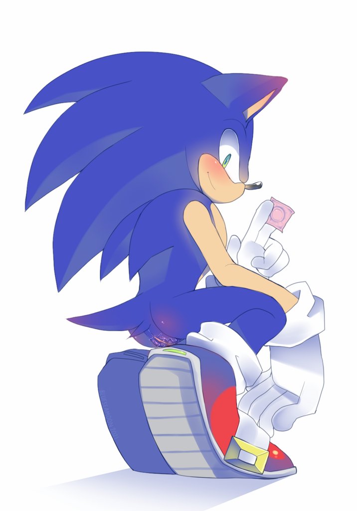 Sonic The Hedgehog (Sega) Rule 34 Image