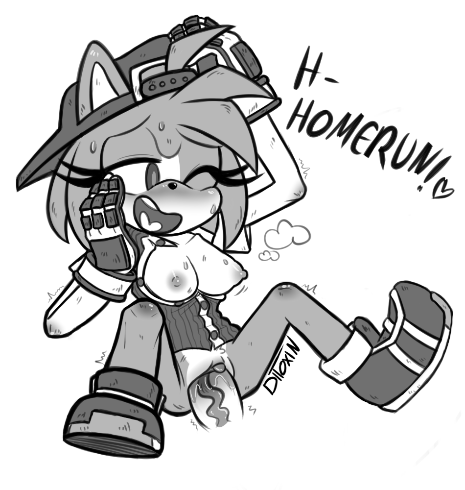 All-Star Amy (Sonic (Series)) Rule 34 Image