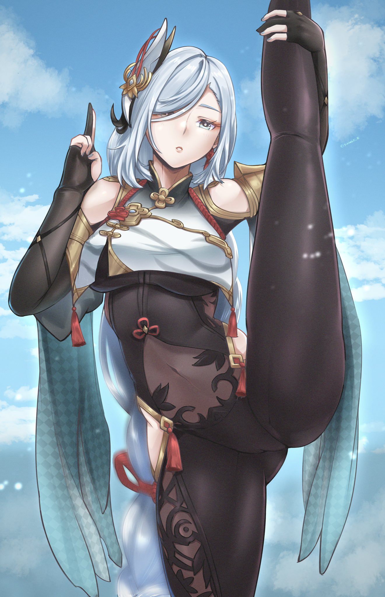 Shenhe (Genshin Impact) Rule 34 Image