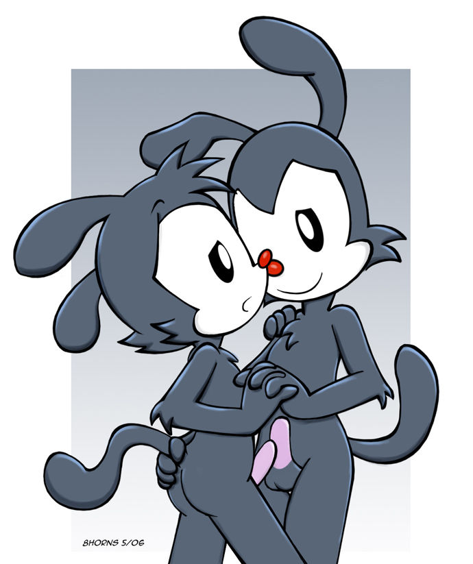 Wakko Warner (Animaniacs) Rule 34 Image