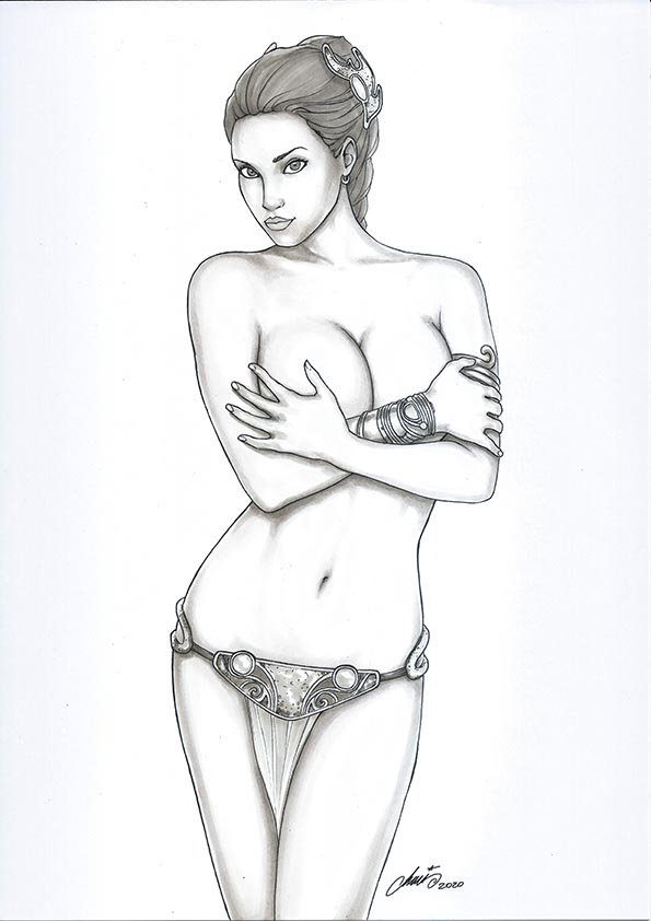 Princess Leia Organa (Star Wars) Rule 34 Image