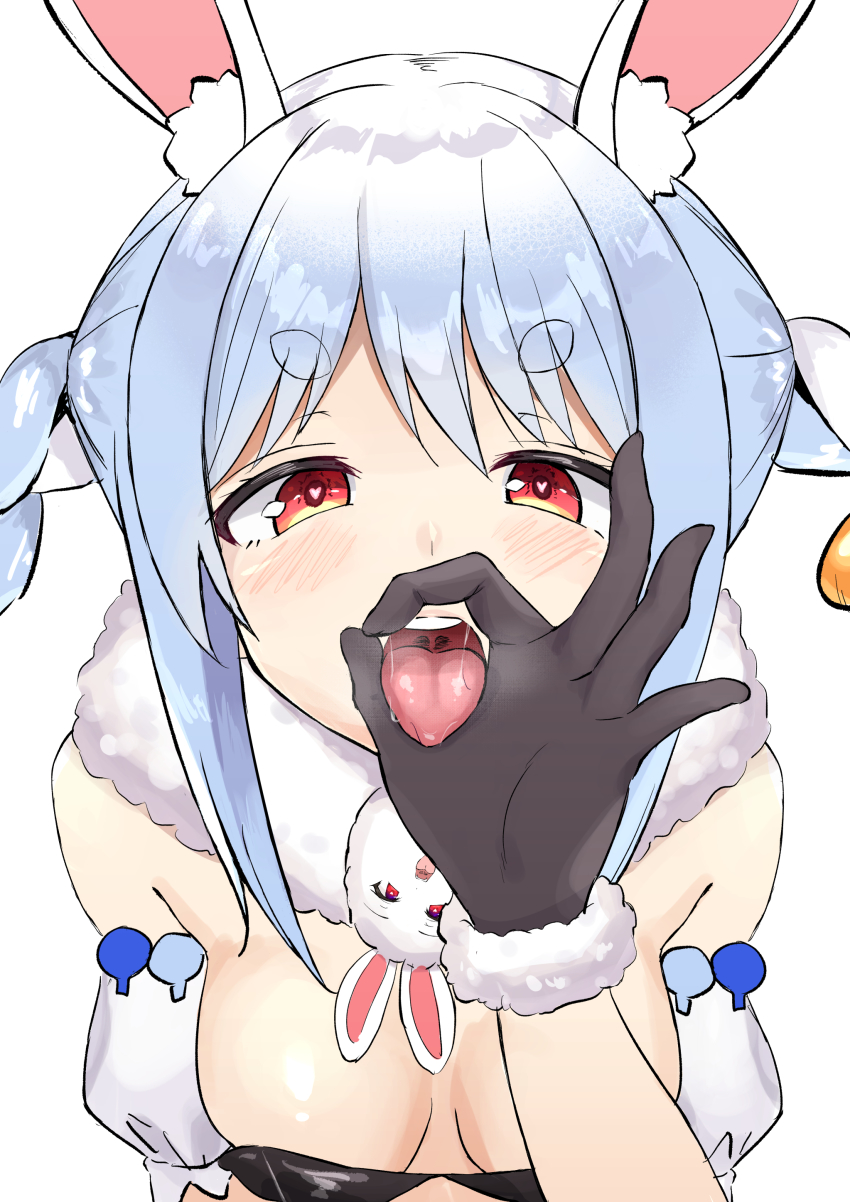 Don-Chan (Usada Pekora) Rule 34 Image