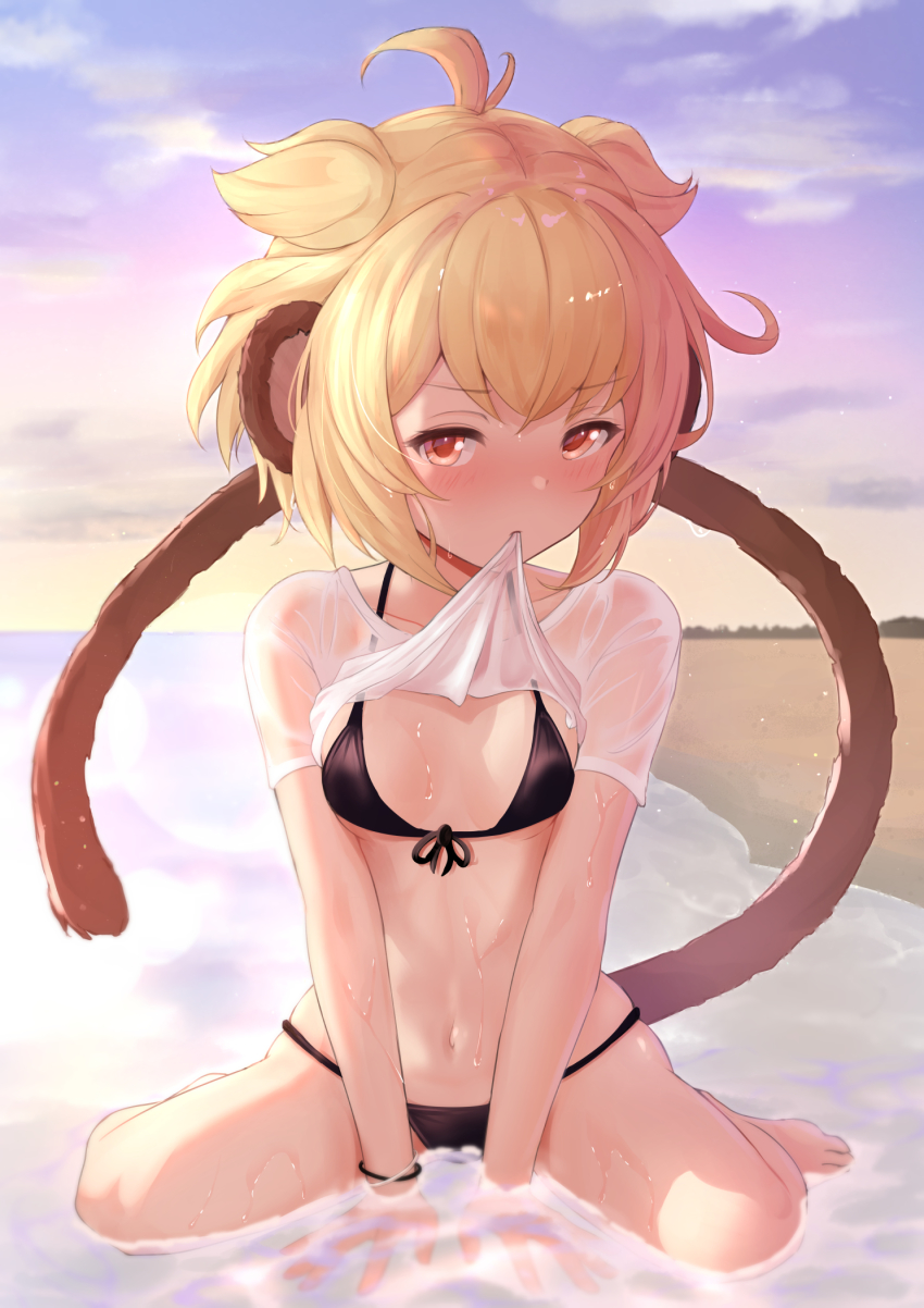Erune (Andira (Granblue Fantasy)) Rule 34 Image