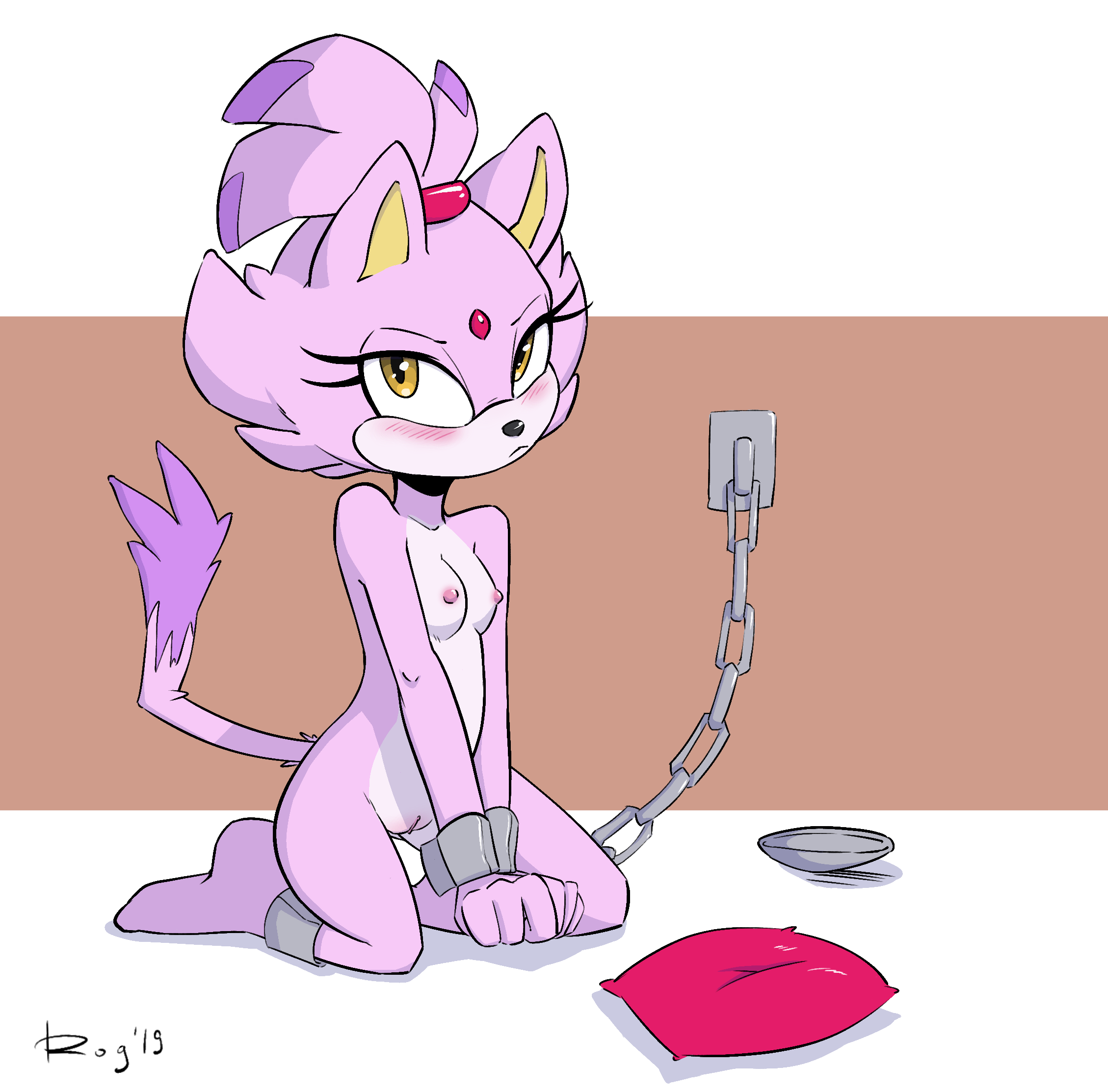 Blaze The Cat (Sega) Rule 34 Image