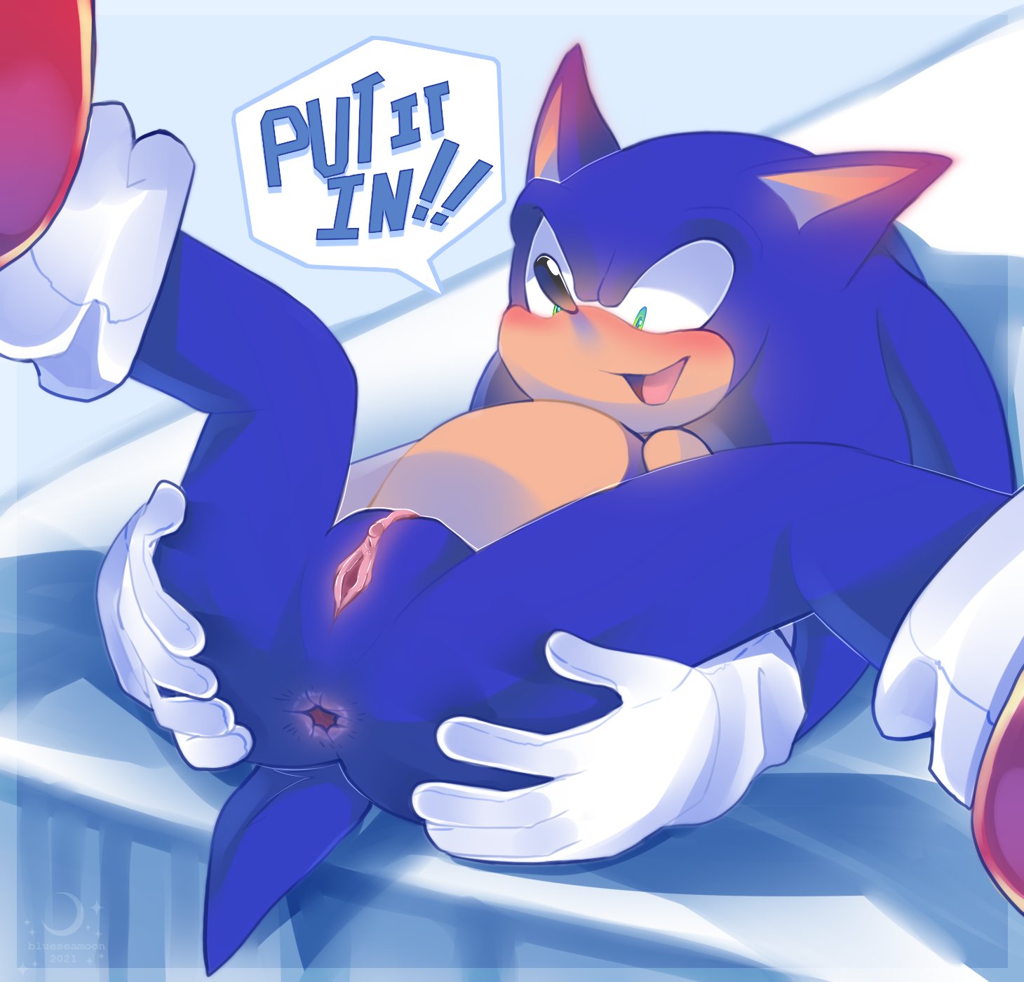 Sonic The Hedgehog (Sega) Rule 34 Image