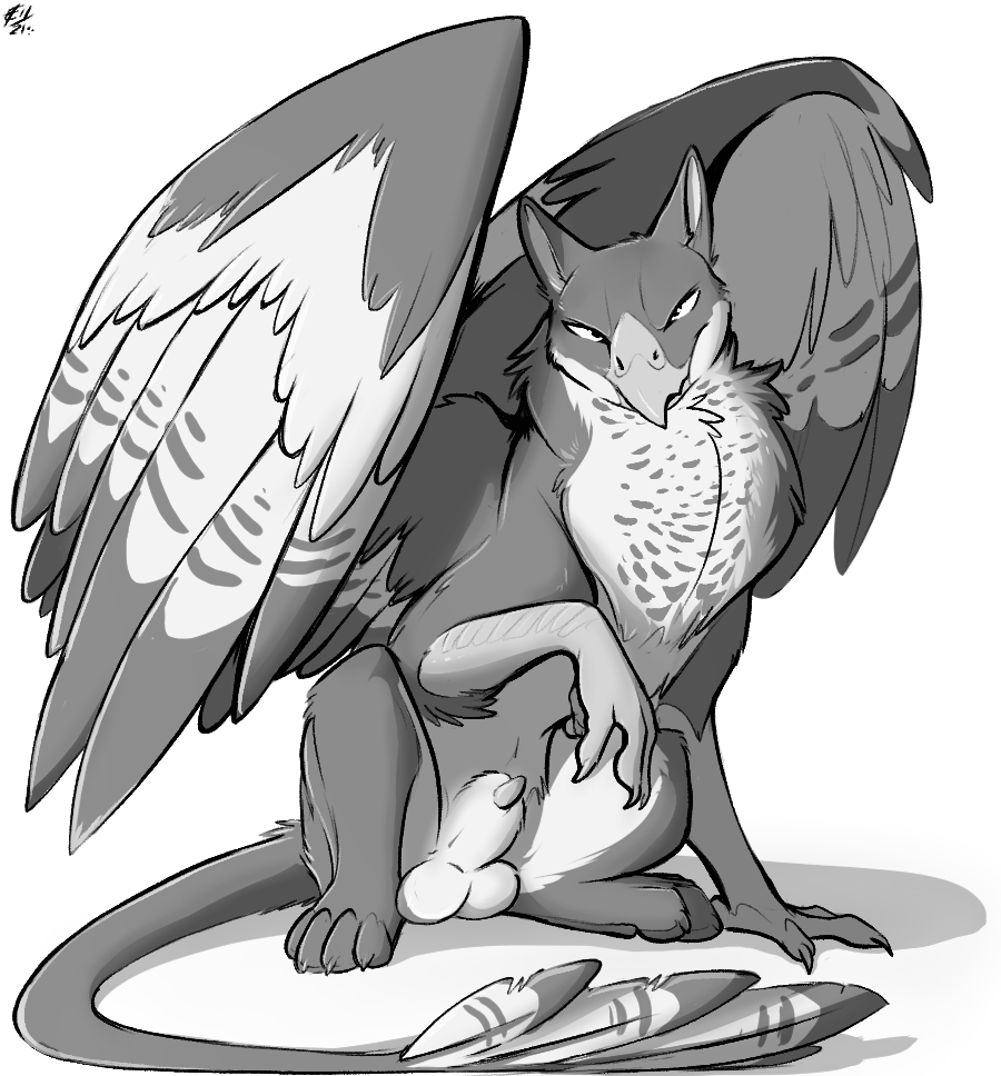 Bhaskara Rule 34 Image