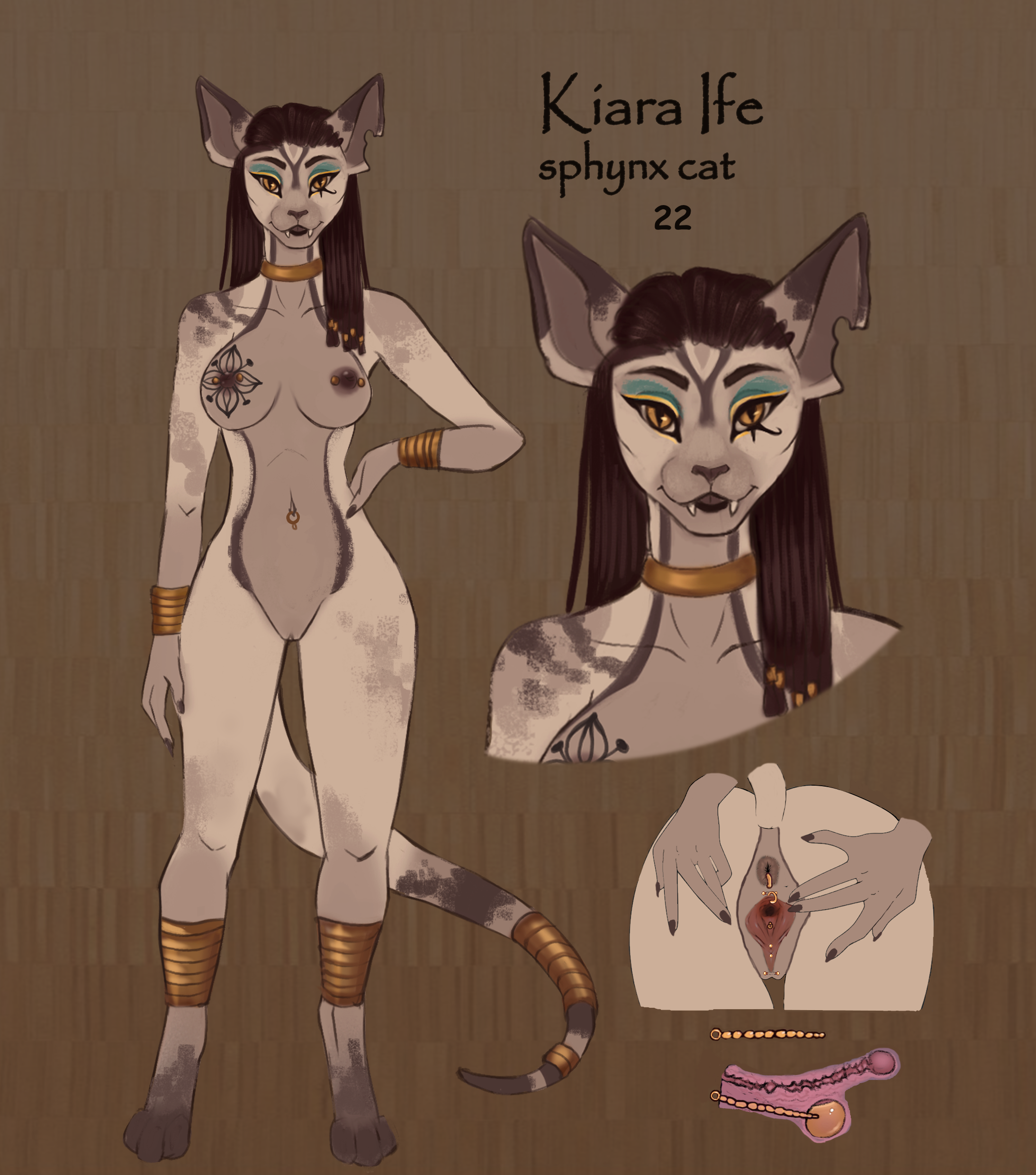 Sphynx (Cat) Rule 34 Image