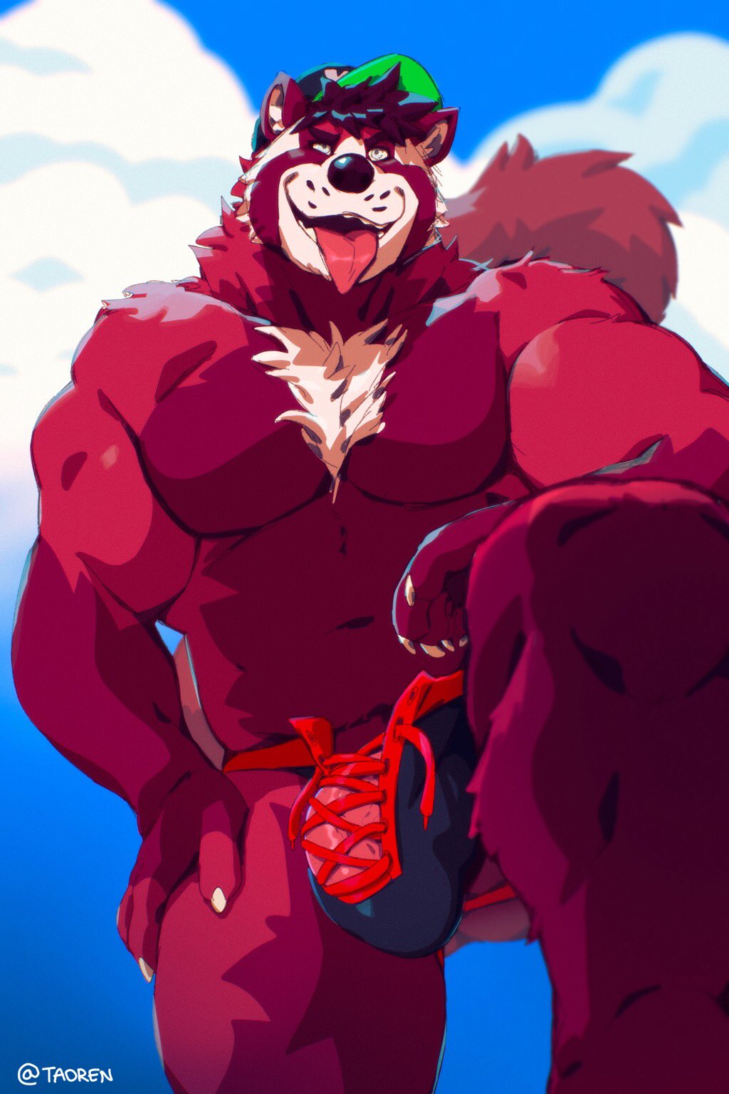 Ailurid Rule 34 Image