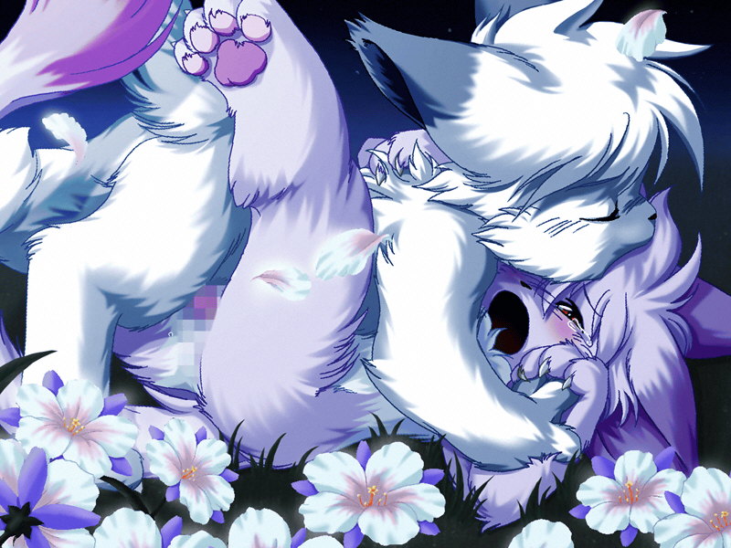 Animal Ear Rule 34 Image