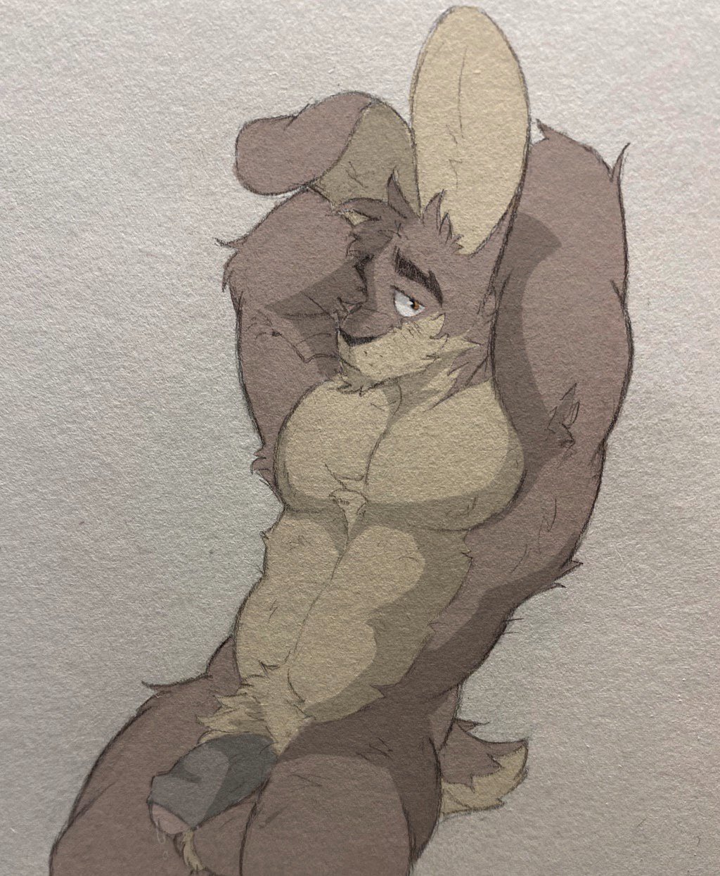 Anthro Rule 34 Image