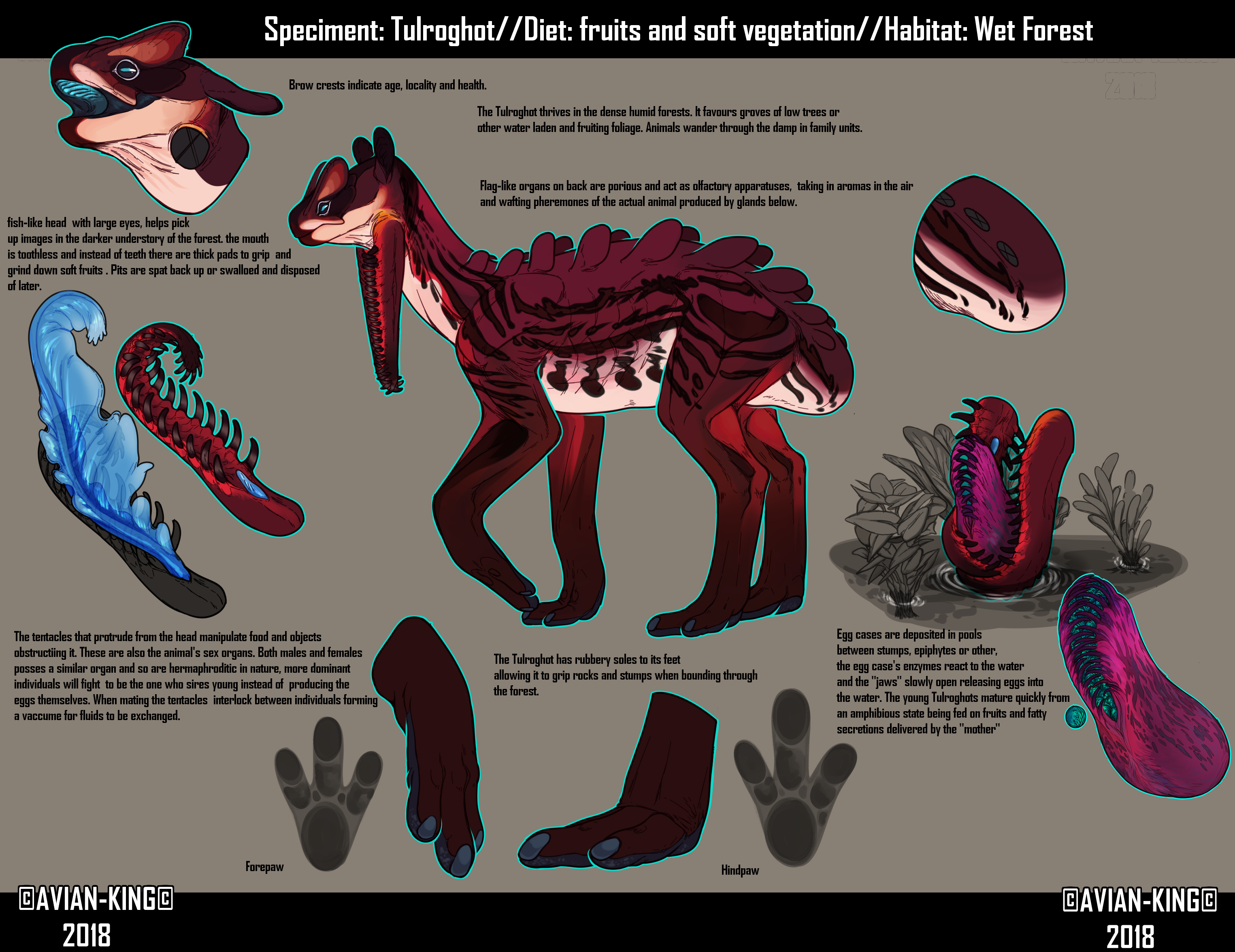 Alien Rule 34 Image