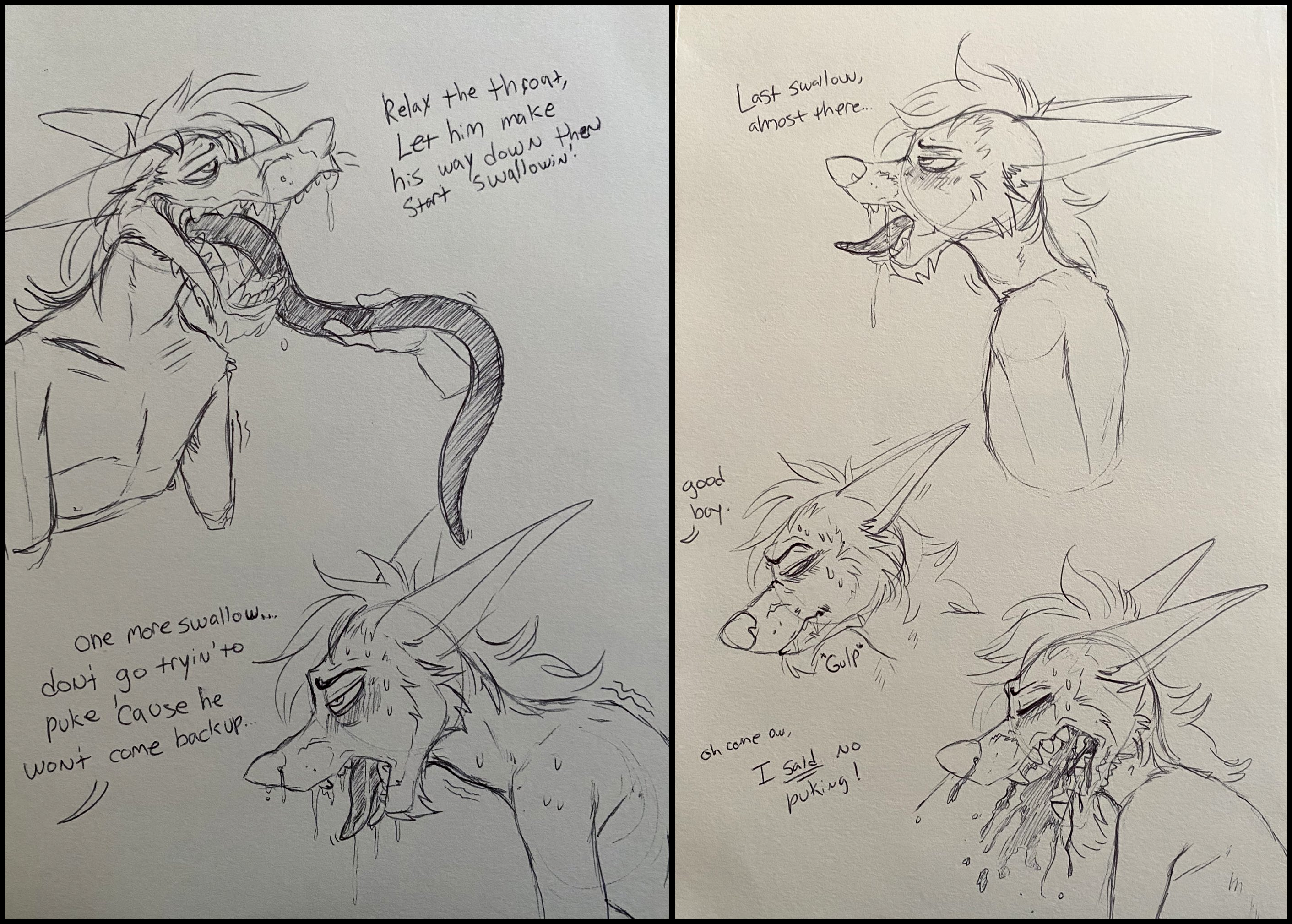 Nico (Foxmusk) Rule 34 Image