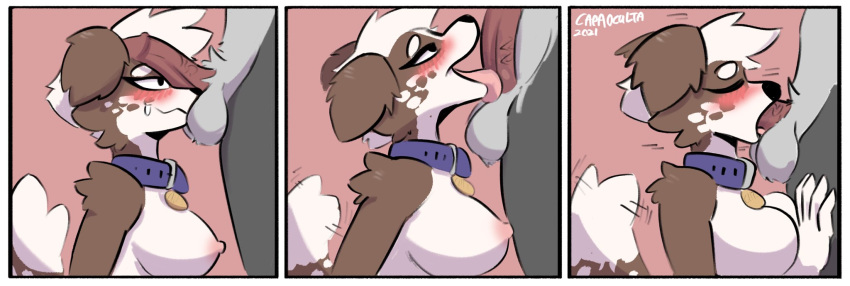 Glitter (Capaoculta) Rule 34 Image