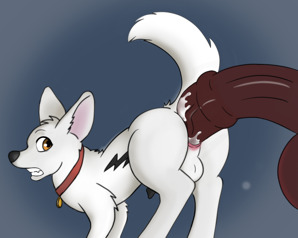 Bolt (Bolt) Rule 34 Image