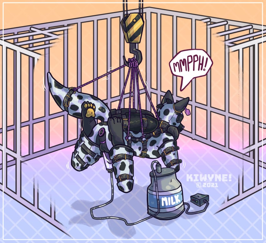 Binder (Restraint) Rule 34 Image