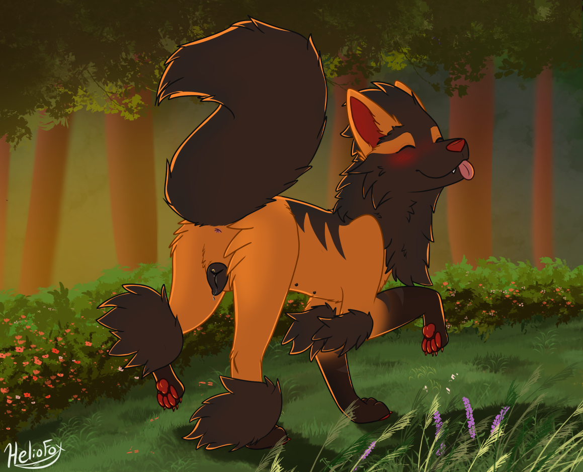 Arcanine (Nintendo) Rule 34 Image