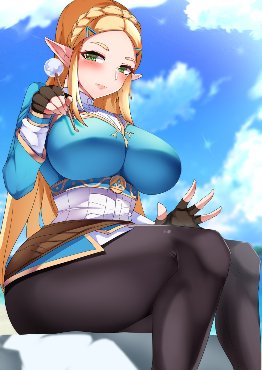 Princess Zelda (Breath Of The Wild) Rule 34 Image