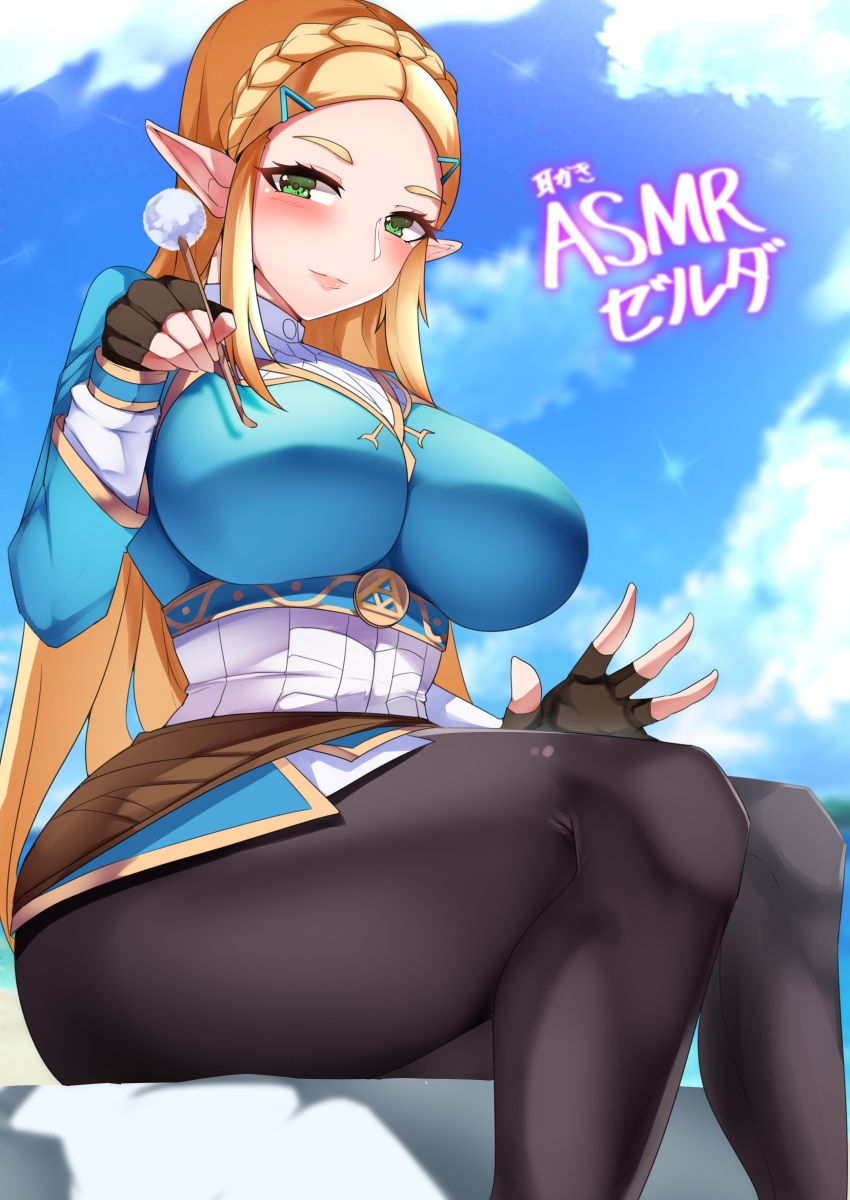 Princess Zelda (Breath Of The Wild) Rule 34 Image