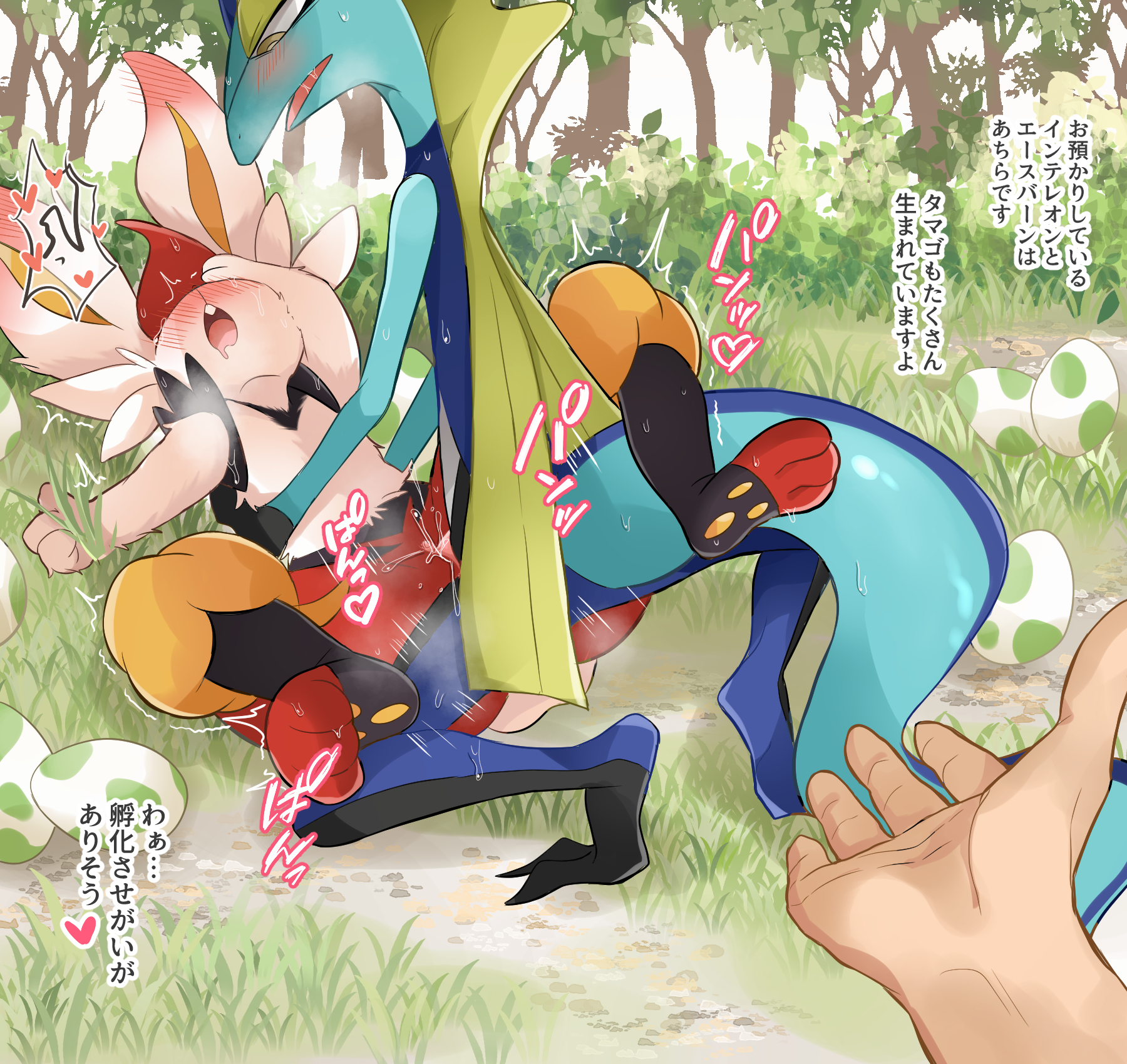 Cinderace (Nintendo) Rule 34 Image