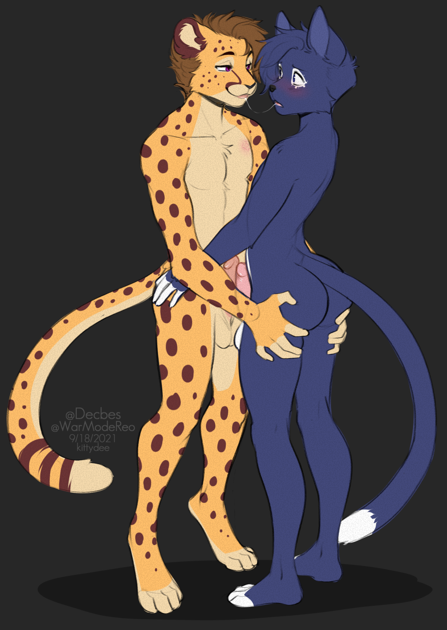 Zachariah (Velocitycat) Rule 34 Image