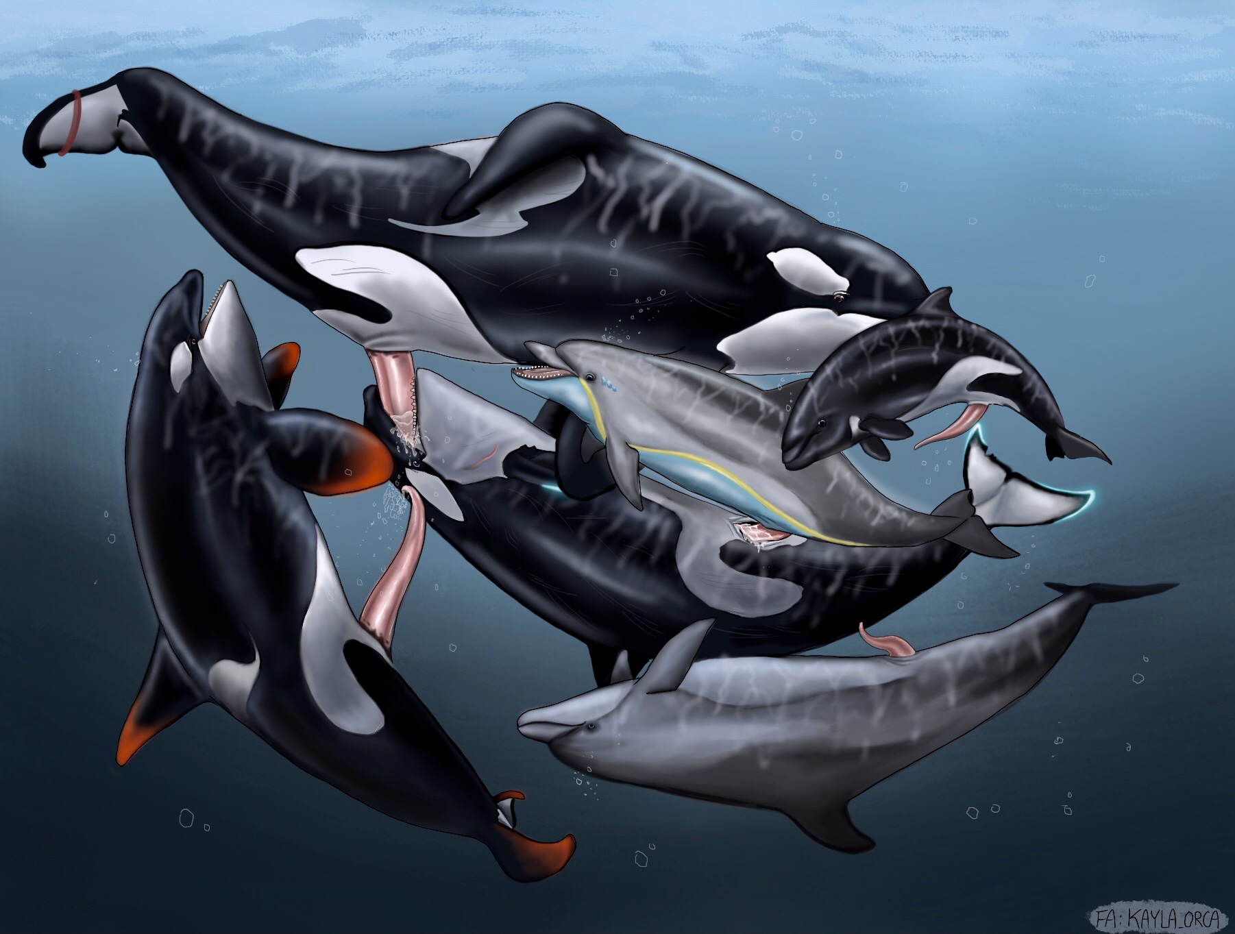 Faren (Vulumar) Rule 34 Image