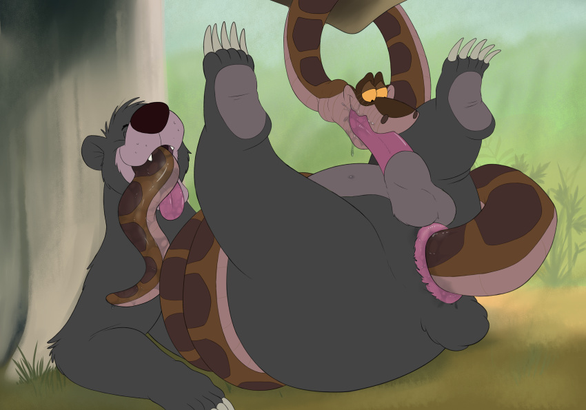 Baloo (Disney) Rule 34 Image