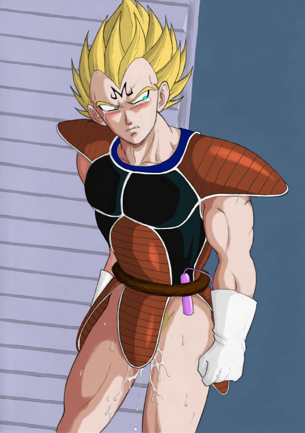 Vegeta (Dragon Ball) Rule 34 Image
