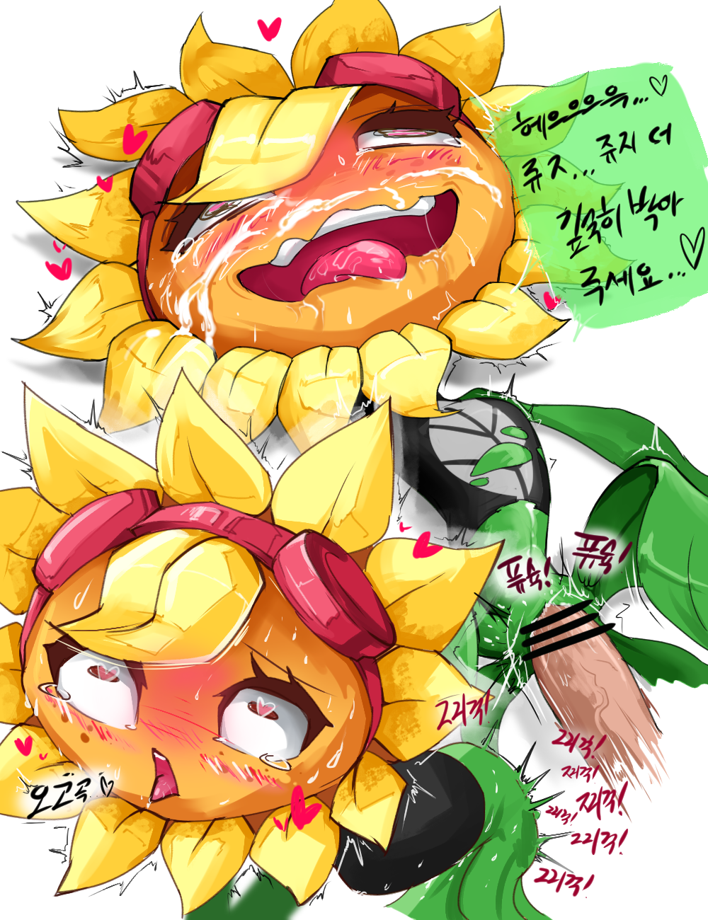 Solar Flare (Pvz) Rule 34 Image
