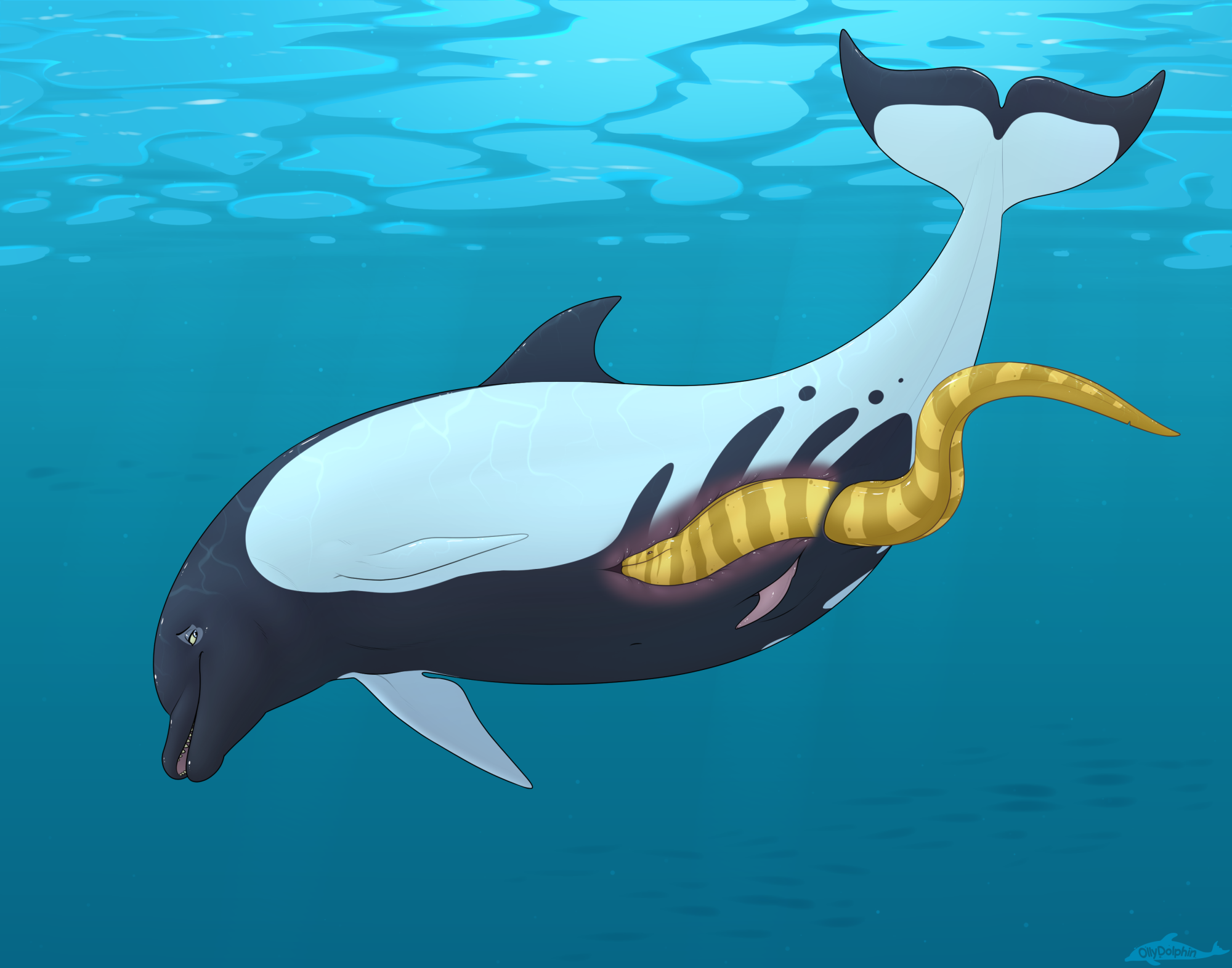 Oliver (Ollydolphin) Rule 34 Image