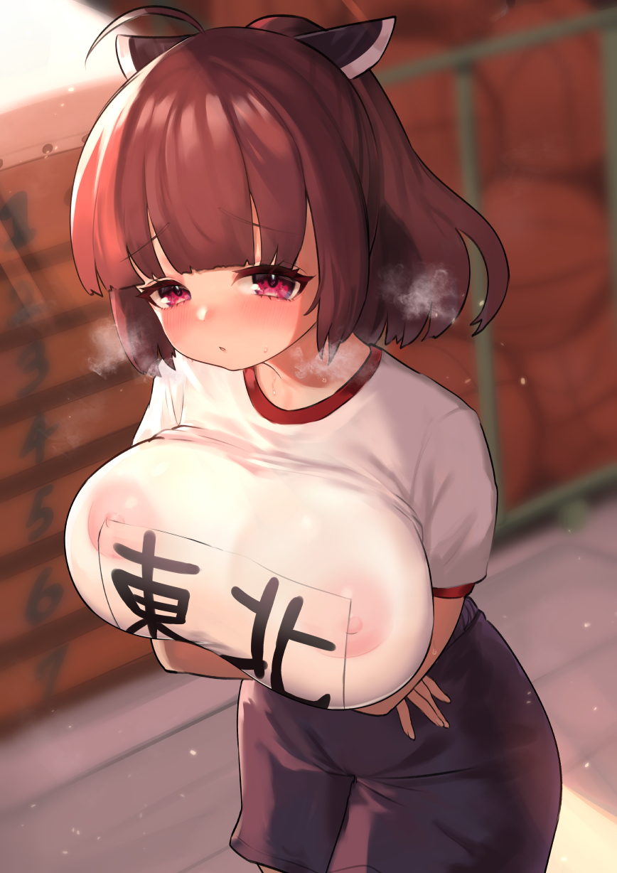 Touhoku Kiritan (Cevio) Rule 34 Image