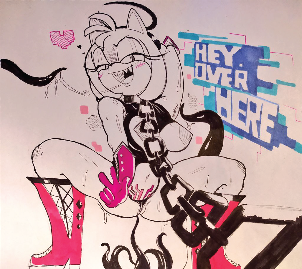 Amy Rose (Sonic (Series)) Rule 34 Image