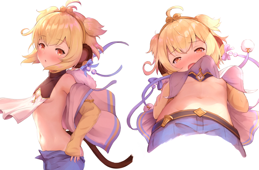 Erune (Andira (Granblue Fantasy)) Rule 34 Image