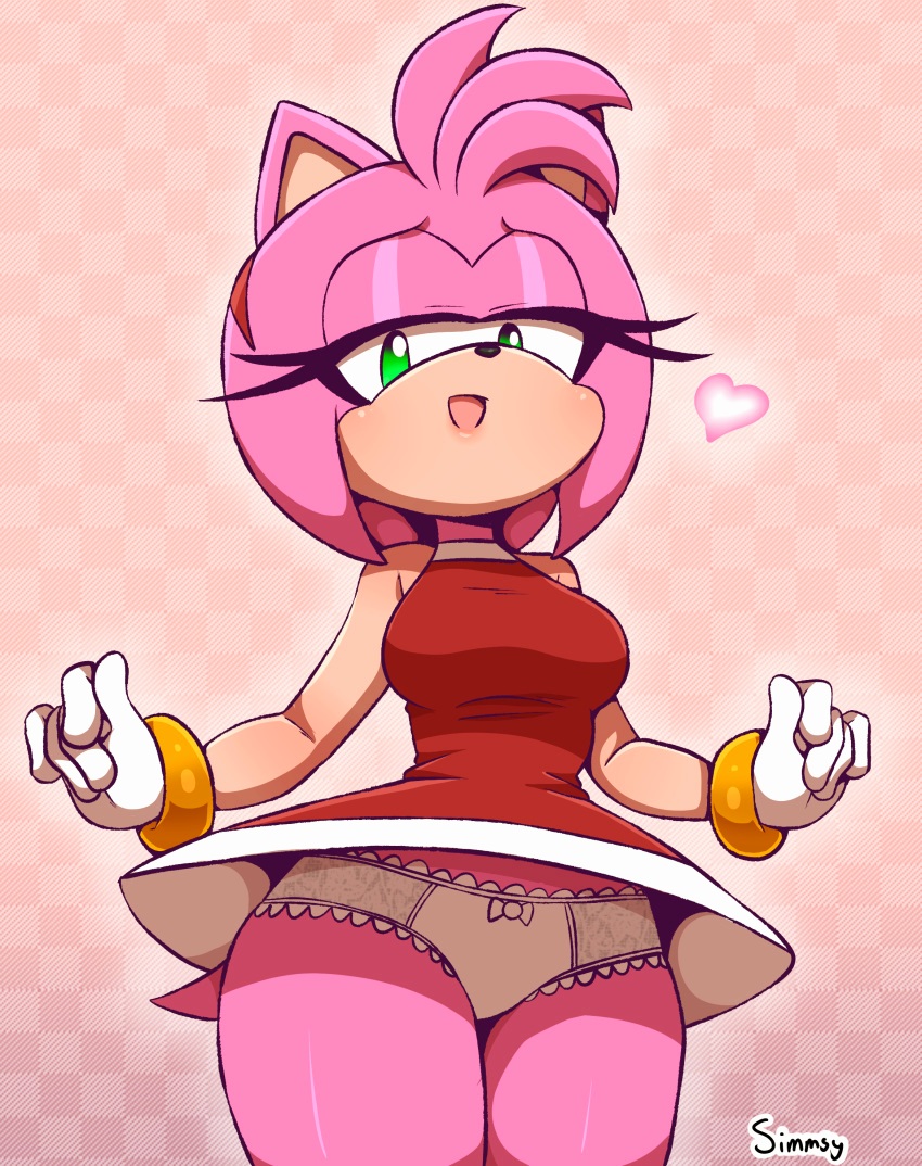 Amy Rose (Sonic (Series)) Rule 34 Image