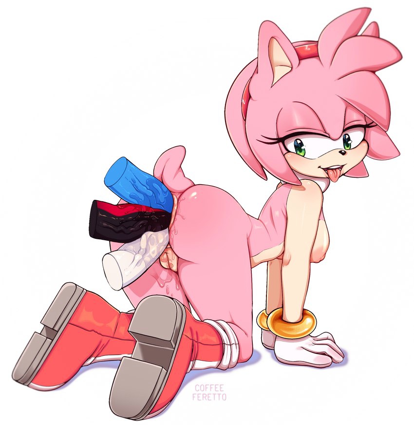 Amy Rose (Sonic (Series)) Rule 34 Image