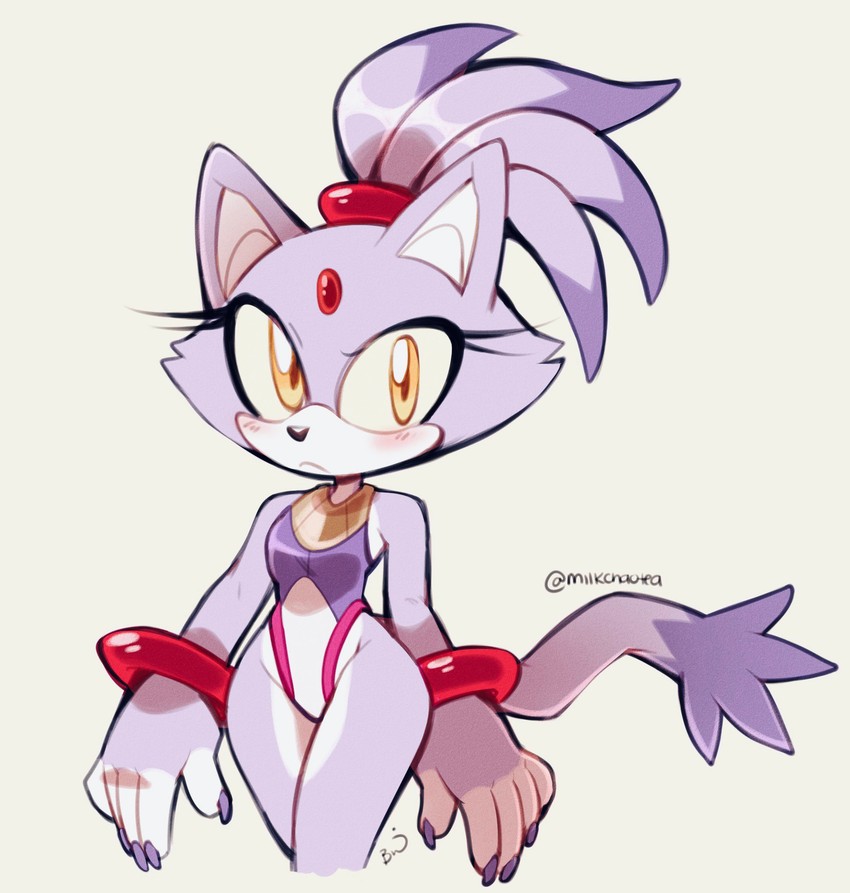 Blaze The Cat (Sega) Rule 34 Image