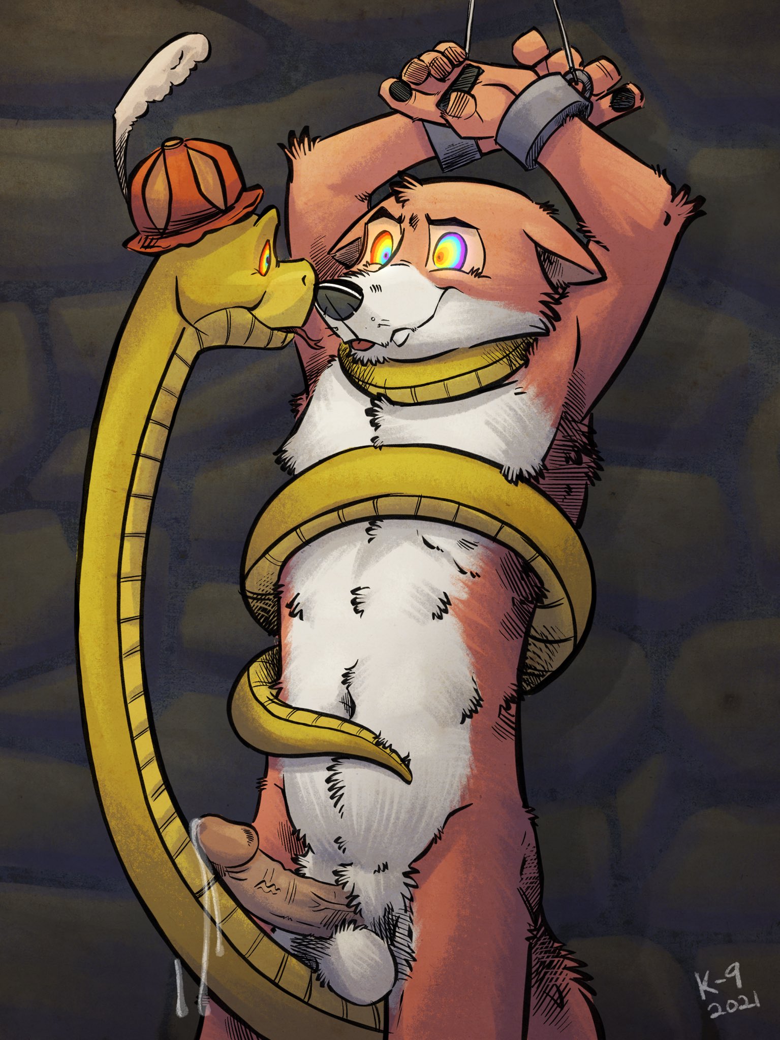Robin Hood (Character) Rule 34 Image
