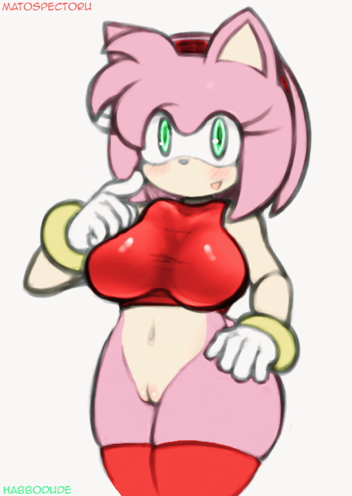 Amy Rose (Sonic (Series)) Rule 34 Image