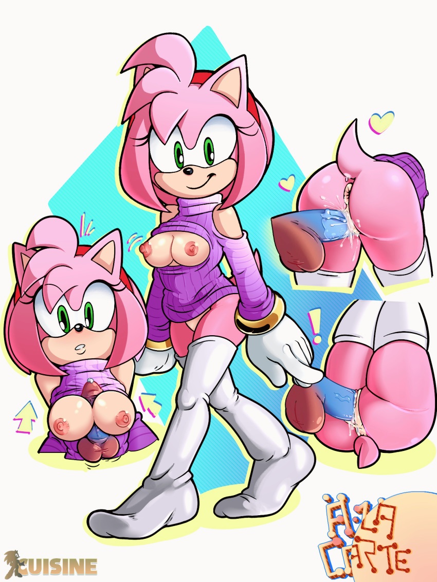 Amy Rose (Sonic (Series)) Rule 34 Image